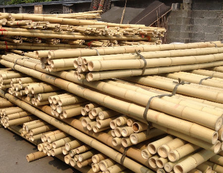 Eco-Friendly Bamboo Poles Toamto Beans Potted Plants for Indoor and Outdoor Plants 0