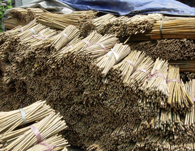 Eco-Friendly Bamboo Poles Toamto Beans Potted Plants for Indoor and Outdoor Plants 3