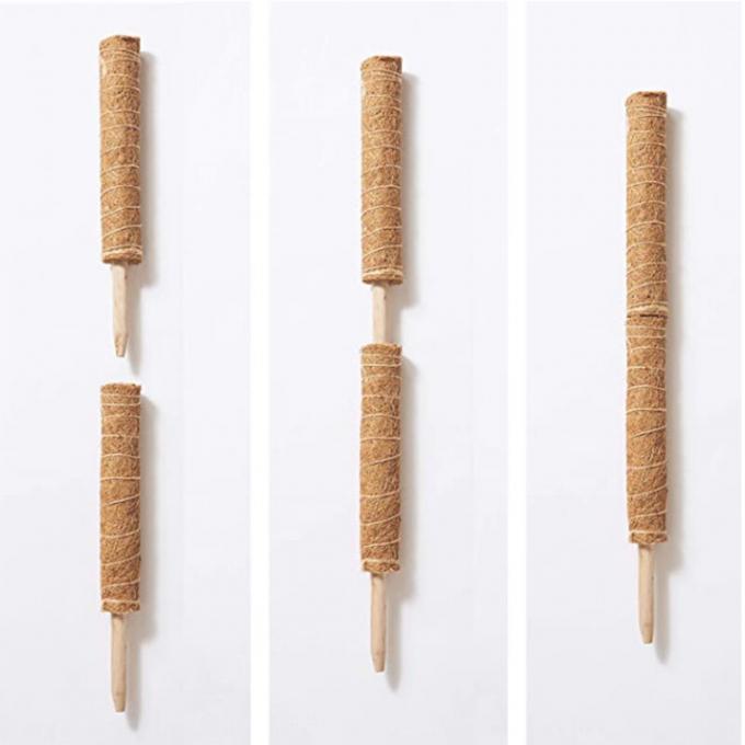 Plant Support Coconut Coir Stick Sturdy Climbing Pole for Vines 0
