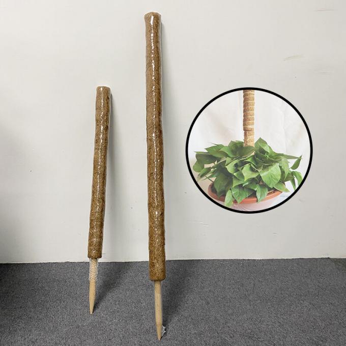 Plant Support Coconut Coir Stick Sturdy Climbing Pole for Vines 2