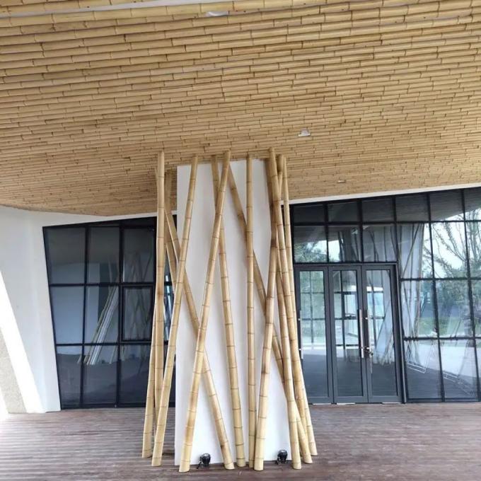 Straight Bamboo Tree Stakes Large Nature Raw Bamboo Poles For Decoration Length 300cm 2