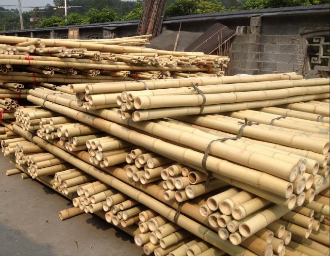 Durable Bamboo Canes for Plant Support and Construction 0