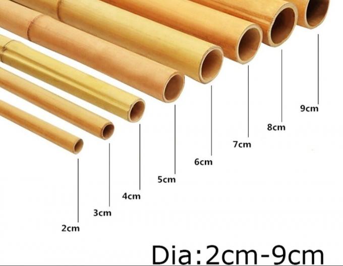 Durable Bamboo Canes for Plant Support and Construction 1