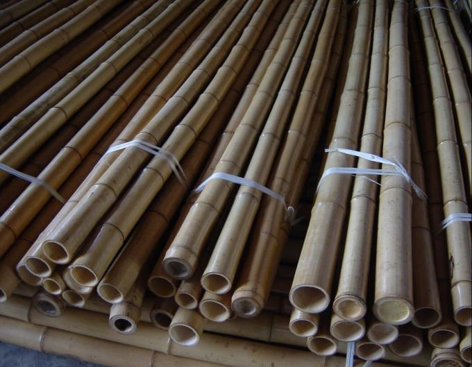 Durable Bamboo Canes for Plant Support and Construction 3