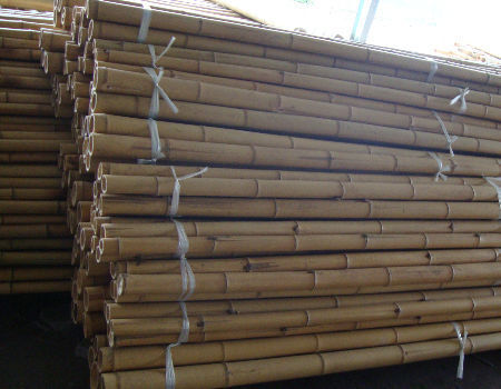 Durable Bamboo Canes for Plant Support and Construction 2