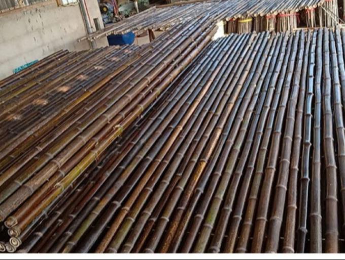 Natural Bamboo Material Painted Bamboo Fence Panels Rolled Bamboo Fence Privacy Garden Border 1