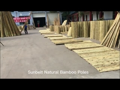 100% Natural Yellow Bamboo Pole 90cm To 595cm Plant Garden Stakes