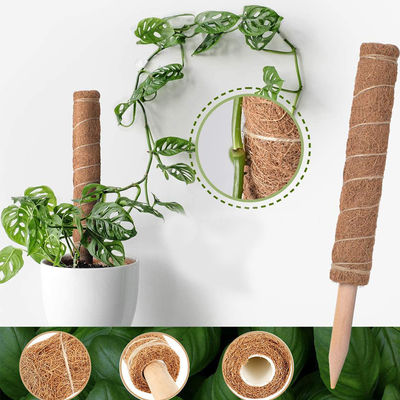 44cm Coir Moss Totem Pole Kit cho thực vật leo núi và hỗ trợ thực vật Dừa
