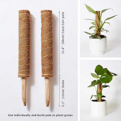 Cây hỗ trợ cây cối Moss Pole Climb Coconut Poles Cây màu cây cọ