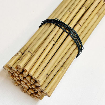 Tonkin Bamboo Cane for Plants Grow Support Custom Size Bamboo Stick