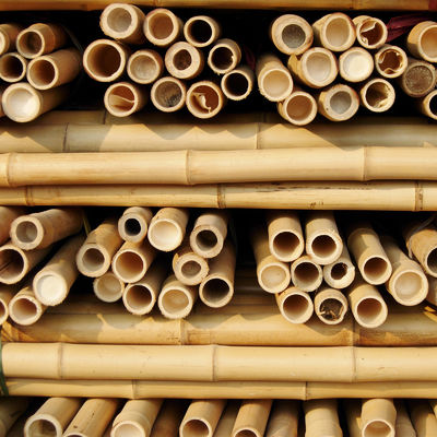 100 % Natural Strong Durable Moso Bamboo Pole Customize Length