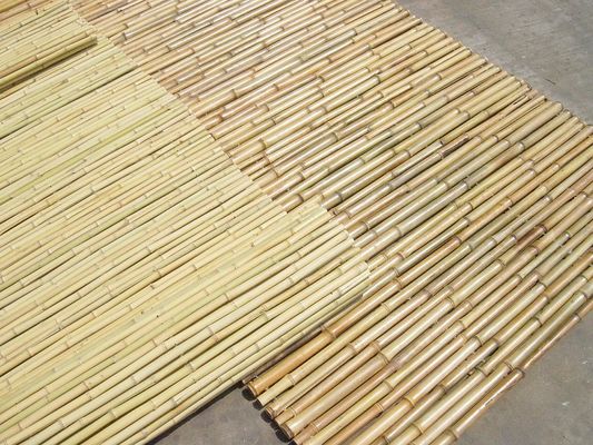 Natural Bamboo Material Painted Bamboo Fence Panels Rolled Bamboo Fence Privacy Garden Border