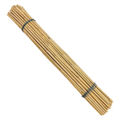 Eco-Friendly Bamboo Poles Toamto Beans Potted Plants for Indoor and Outdoor Plants