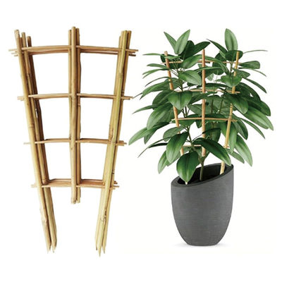 Factory Direct Supply Handmade 24 Inch Bamboo U Trellis Hoop Stakes For Garden