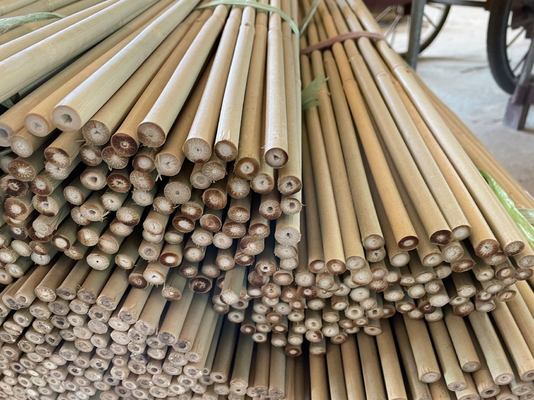 100% Natural Bamboo Stakes Customized Length Eco-friendly For Plant Support And Decoration