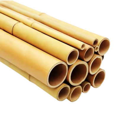 Cây gạch thô 100% tự nhiên cho làm vườn Xây dựng và trang trí Cây gạch chất lượng cao
