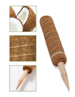 44cm Coir Moss Totem Pole Kit cho thực vật leo núi và hỗ trợ thực vật Dừa