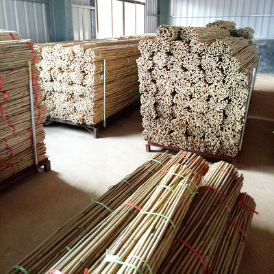 250cm Raw Bamboo Poles Bamboo Stakes For Decoration Plant
