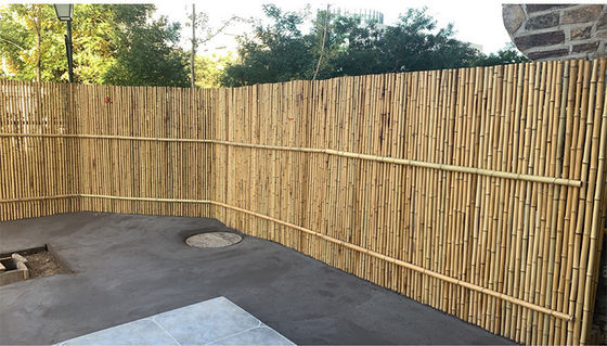 Backyard Decorative Bamboo Fence Tonkin Bamboo 1.5m Outdoor Garden Fence