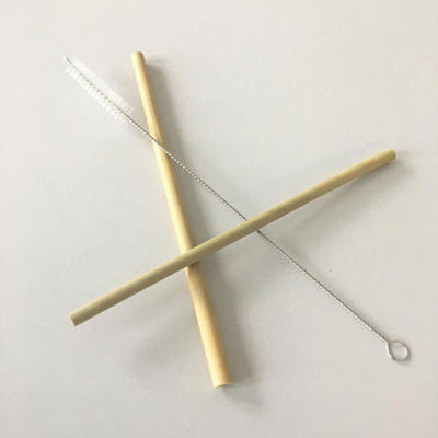 Tái sử dụng Eco Friendly 20x0.8cm Tái sử dụng ống hút nước treo với bàn chải