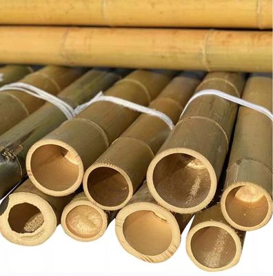 Natural 10 Foot Moso Bamboo Pole For Building Garden Construction