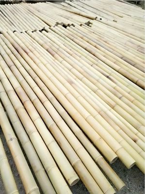 3 Inch Moso Bamboo Pole Pure Natural Bamboo Stakes For Plant Decoration Yellow