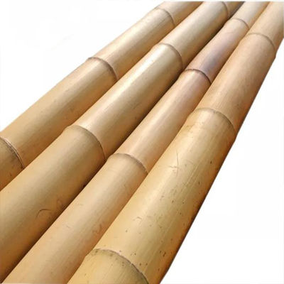 18mm To 160mm Diameter Bamboo Cane Moso Bamboo Pole Construction Agriculture