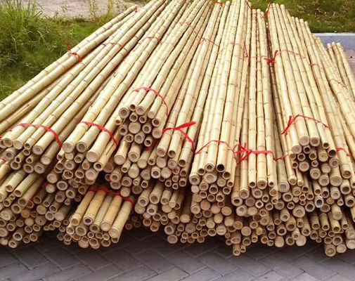 Garden Furniture Natural  Bamboo Poles Stakes Straight For Garden Plant Length 16cm