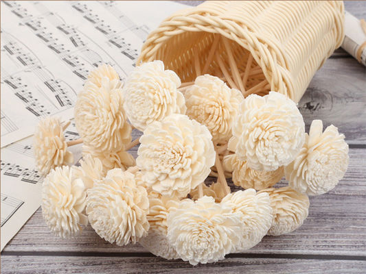 Cây thơm khô Sola Flower Reed Diffuser 15cm Với Cotton Wick Cho trang trí