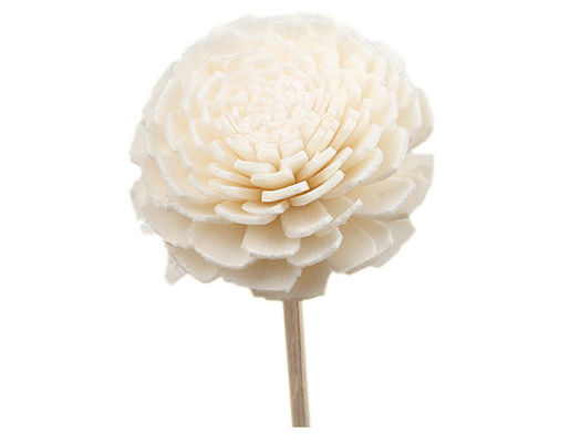 Cây thơm khô Sola Flower Reed Diffuser 15cm Với Cotton Wick Cho trang trí