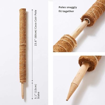 Cây hỗ trợ cây cối Moss Pole Climb Coconut Poles Cây màu cây cọ