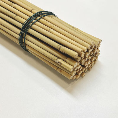 Eco Friendly Decorative Raw Bamboo Poles Dia.0.8cm x 100cm Length