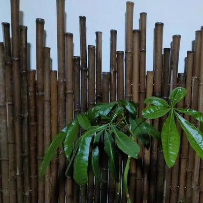 4cm To 20cm Tonkin Raw Bamboo Poles Carbonized Black Green Red Customized