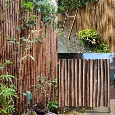 Natural Bamboo Raw Material Garden Fencing Panels With 180cm 240cm Length