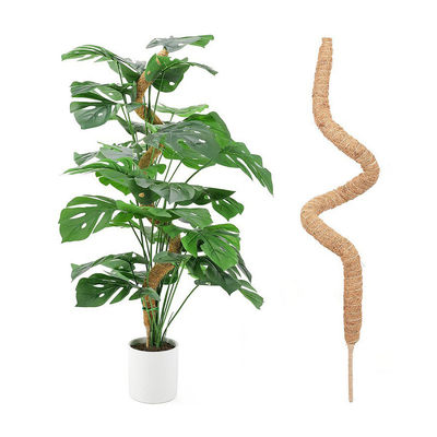 44cm Coir Moss Totem Pole Kit cho thực vật leo núi và hỗ trợ thực vật Dừa