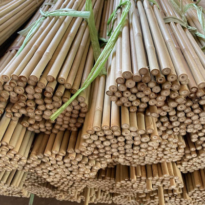 Cửa hàng vườn trang trí nhà Cây gạch gạch gạch gạch gạch thô