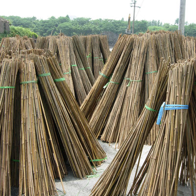 Cửa hàng vườn trang trí nhà Cây gạch gạch gạch gạch gạch thô
