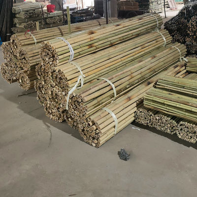 Cửa hàng vườn trang trí nhà Cây gạch gạch gạch gạch gạch thô