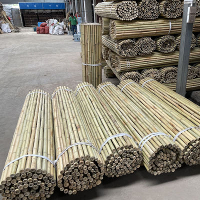 Cửa hàng vườn trang trí nhà Cây gạch gạch gạch gạch gạch thô
