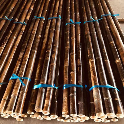 150cm Raw Bamboo Poles Painting Green Red Black Decorative Bamboo Garden Stakes