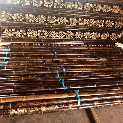 Anti Mould Painted Bamboo Stakes Colourful Plant Tonkin Carbonized 250cm
