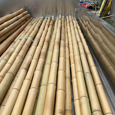 18mm To 160mm Diameter Bamboo Cane Moso Bamboo Pole Construction Agriculture