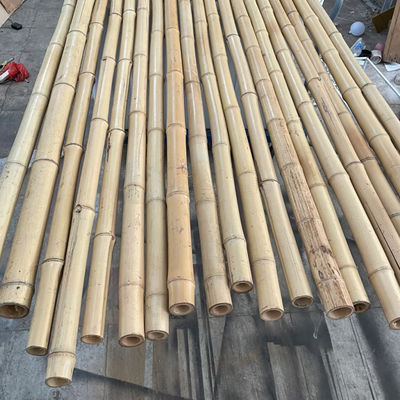 18mm To 160mm Diameter Bamboo Cane Moso Bamboo Pole Construction Agriculture