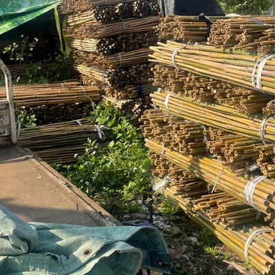 18mm To 160mm Diameter Bamboo Cane Moso Bamboo Pole Construction Agriculture
