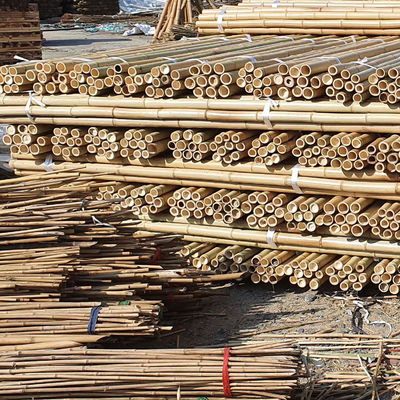 18mm To 160mm Diameter Bamboo Cane Moso Bamboo Pole Construction Agriculture