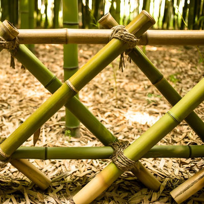 Eco Friendly 3 Inch Moso Bamboo Pole Bamboo Stakes For Plant Decoration Yellow