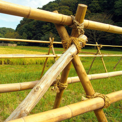 Natural 10 Foot Moso Bamboo Pole For Building Garden Construction
