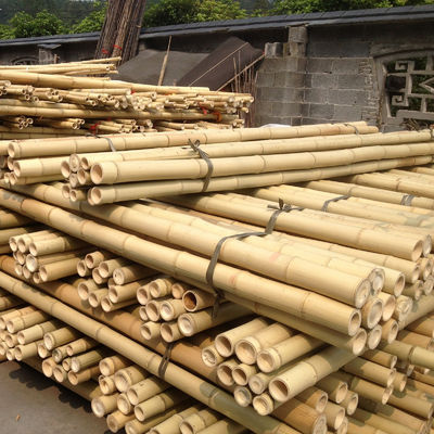 Natural 10 Foot Moso Bamboo Pole For Building Garden Construction