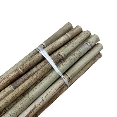 Natural Raw Moso Bamboo Poles 2cm 3cm 4cm 5cm 6cm 8cm 10cm Diameter