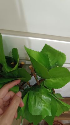 Trang trí nhựa cây xanh tấm thảm lá nhân tạo hàng rào cho ngoài trời